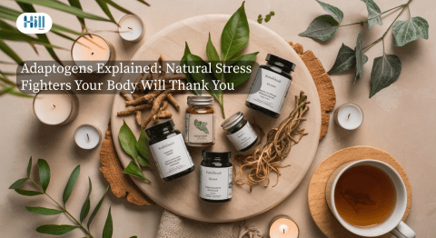 Herbal adaptogens for stress and sleep—ashwagandha, reishi, rhodiola, and holy basil arranged naturally